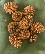 Orange Painted Pinecones , pinecones , basket or bowl filler, garland, o... - $6.00