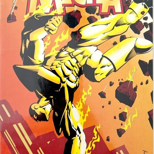 Full-size item image