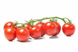 &#39;Renrong&#39; Bright Red Cherry Tomato, 20 seeds - £8.04 GBP
