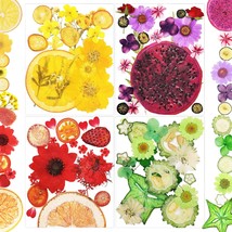 Pressed Dried Flowers Fruits for Resin Molds 75 Pieces Assorted Real Natural Fru - £24.76 GBP