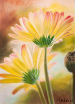 DIBUJO A PASTEL DE MARGARITAS. FLORES. PINTURA DE FLORES. - $121.84 CAD
