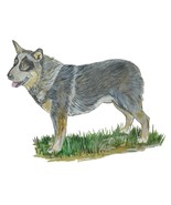 Decal Vinyl Sticker Australian Cattle Dog - Printed Vinyl Decal Made in USA - $130.28 MXN+