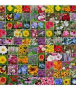 VN 5000 Seeds Wildflower Mix Landscaper’S Pack Bulk Garden Seeds - $22.33 CAD