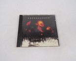 Soundgarden Let Me Drown My Wave Fell On Black Days Mailman Supernknomn ... - $13.99