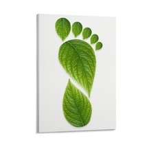 Art Poster Footprint Office Framed Inside Canvas Artwork 12x18 Inch - £14.20 GBP