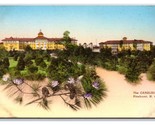 Carolina Hotel Panorama Pinehurst NC UNP Hand Colored Albertype Postcard... - $7.87