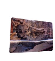 Vtg Tabula Scalata Marsh’s Museum Humanoid Reptile Collectible Fridge Magnet - £6.26 GBP