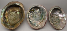 3-Pc. Lot Red Abalone Haliotis Rufescens Shell Post 1940&#39;s Pt. Arena Cal... - £76.64 GBP