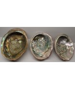 3-Pc. Lot Red Abalone Haliotis Rufescens Shell Post 1940&#39;s Pt. Arena Cal... - £75.87 GBP