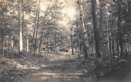 Beautiful Driveway Carp Lake Michigan 1912 RPPC Real Photo postcard - £7.74 GBP