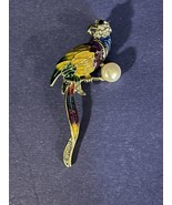 Macaw Parrot Brooch Pin Enamel &amp; Rhinestones on Gold Tone - $13.09