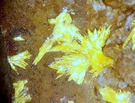 HAYNESITE - Type Locality - Repete Mine, San Juan County, UTAH - €107,38 EUR HAYNESITE - Type Locality - Repete Mine, San Juan County, UTAH - €107,38 EUR