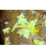 HAYNESITE - Type Locality - Repete Mine, San Juan County, UTAH - €107,38 EUR