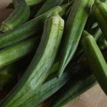 Fresh 100 Jambalaya () Okra Seeds Extra Early Maturing Abelmoschus Esculentus - £26.78 GBP