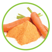 Fresh Carrot Powder (500 gm) free shipping world - £22.96 GBP