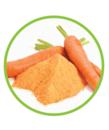 Fresh Carrot Powder (500 gm) free shipping world - $29.07