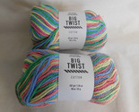 Big Twist Cotton Multi Rainbow lot of 2 Dye Lot CNE1269 - $10.99