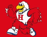 Hartford Hawks Flag 3x5ft - $15.99