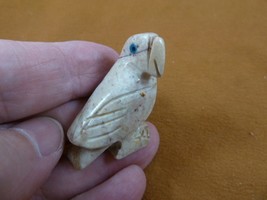 y-bir-pa-14 PARROT Macaw bird gray white gemstone SOAPSTONE figurine lov... - $8.59