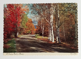 Country Road in Autumn Pocono Mountains PA Fall Scalloped Dexter Postcard 1960s - £3.13 GBP