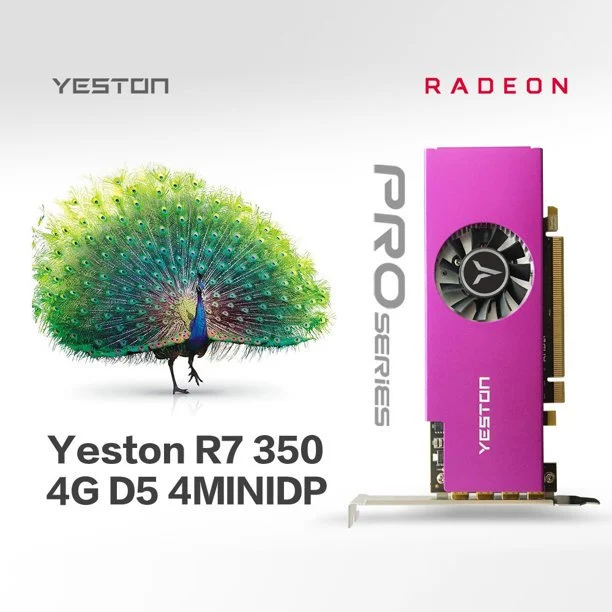 AMD RADEON GPU DDR5 GRAPHICS CARD Yeston R7350 Pro 4Gb Computer Gaming U... - €149,70 EUR