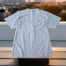 Big Dogs Vintage Y2K Tshirt Mens Size Medium Gray Embroidered Grunge - $27.72