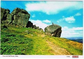 Ilkley Yorkshire England Postcard Cow and Calf Rocks - £2.28 GBP