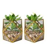 Lot of 2 - Opalhouse Artificial Cactus Fake Succulent Brass Gold Terrari... - $24.43 CAD