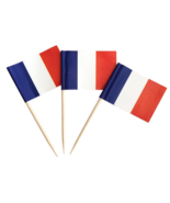 100 Pack France Toothpick Flags, Cocktail Picks Mini Stick Cupcake Toppers - $10.00