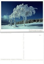 Germany Baden-Württemberg Schwarzwald Schauinsland Snow Beech Trees VTG Postcard - £7.44 GBP