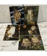 Collectible Postcard Lot Of 5 Eagle Owl Snowy Wood Birds In The Wild - £9.30 GBP