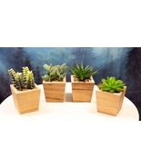 Set of 4 Realistic Artificial Botanica Green Succulents In Wooden Pots 4... - €42,67 EUR