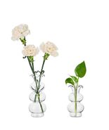 Hewory Glass Bubble Bud Vase Small Clear Glass Flower Vase for Single Stem - $321.96 MXN