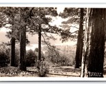 RPPC Landscape View Big Bear Lake California CA UNP Pedersen Photo Postc... - $3.91