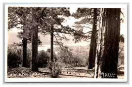 RPPC Landscape View Big Bear Lake California CA UNP Pedersen Photo Postcard Z9 - £4.50 GBP
