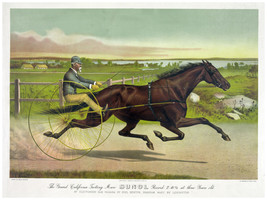 3292 Vintage Poster.Room wall art design.California Sunol Horse racing Decor - £12.90 GBP+