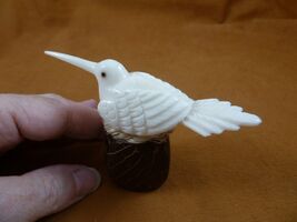 TNE-BIR-HU-680c) Hummingbird bird + nest TAGUA NUT figurine hummingbirds - $33.96