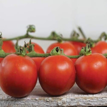 50 Seeds Chadwick Cherry Tomato Juicy Tomatoe Vegetable Edible Food Usa Seller - $9.32