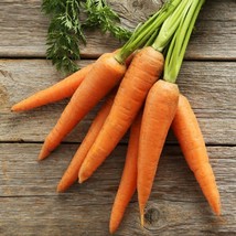 Little Finger Carrot Seeds 1000 Vegetable Garden Fresh Garden Fast Shipping - $3.78
