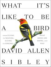 What It's Like to Be a Bird: From Flying to Nesting, Eating to Singing--What Bir - $15.62