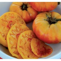 Usa Seller Gold Medal Tomato Seeds Fast Shipping - £7.37 GBP