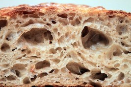 AUTHENTIC SAN FRANCISCO-WHARF-SOURDOUGH STARTER plus recipes @ - $7.75