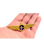Airlines Pilot Captains Wings Pin Pilot Badge Air Lines Pin - $11.76