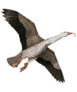 Jackite Blue Goose Decoy Kite / Windsock - £32.47 GBP