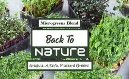 Arugula, Alfalfa &amp; Mustard Greens Microgreen Seed Blend - Microgreens - ... - £3.22 GBP
