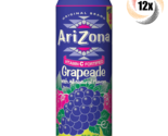 12x Cans Arizona Grapeade All Natural Grape Flavors 23oz ( Fast Free Shi... - $44.64
