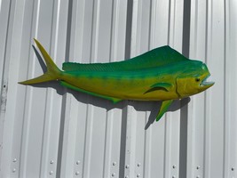 36&quot; Bull Dolphin &quot;Green Hornet&quot; Two Sided Fish Mount - Quick Production - £275.24 GBP