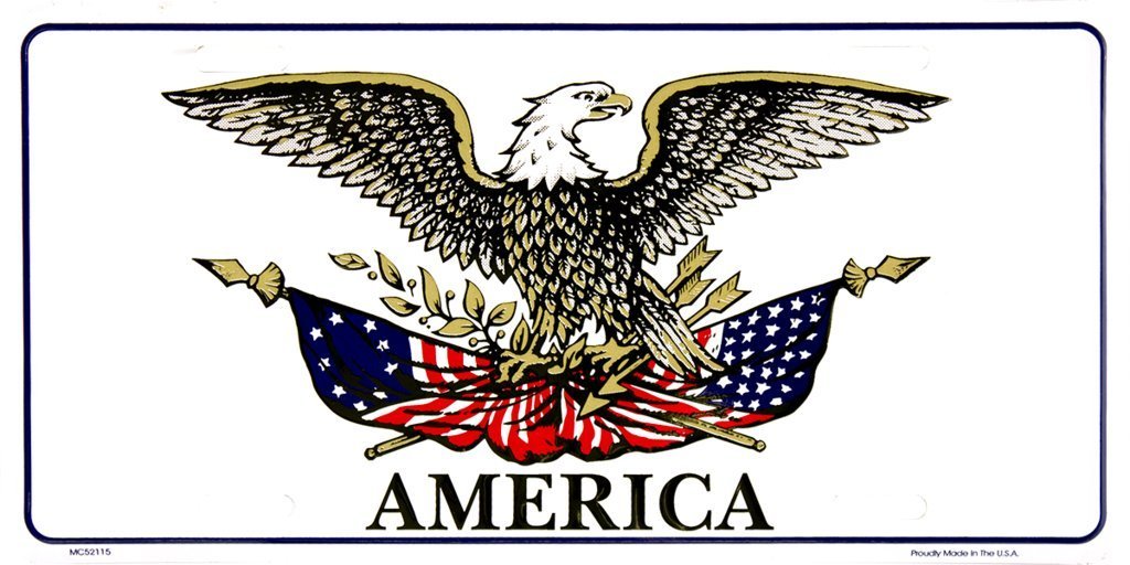 AES American USA Flag License Plate Eagle USA America Land of The Free M... - $4.88