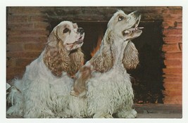 Vintage Postcard Blonde Cocker Spaniel Dogs By Fireplace Baby It&#39;s Cold Outside - £5.52 GBP