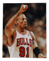 Dennis Rodman Signed Bulls 16x20 Photo (TriStar) - £100.62 GBP